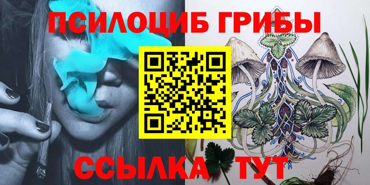 Тула  цены наркотик  Вход с VPN  Галлюциногенные грибы Psilocybe 
