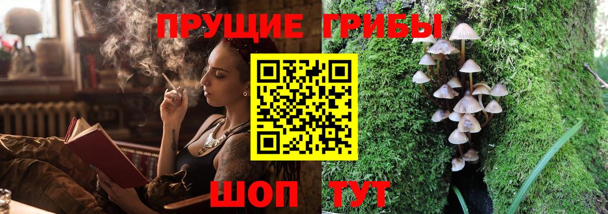 Галлюциногенные грибы MAGIC MUSHROOMS Тула